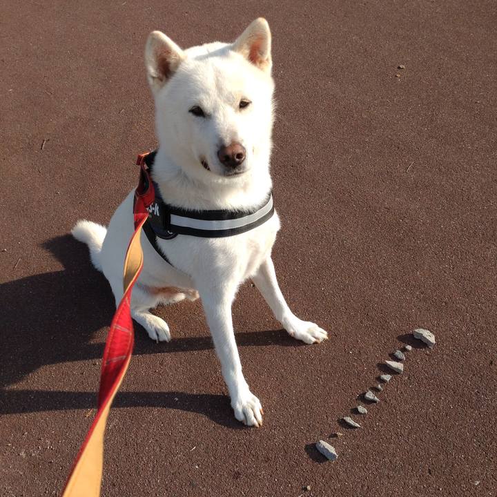 28a51388 271c 4eb6 b3c5 9a9bad7c008e 1650707284834