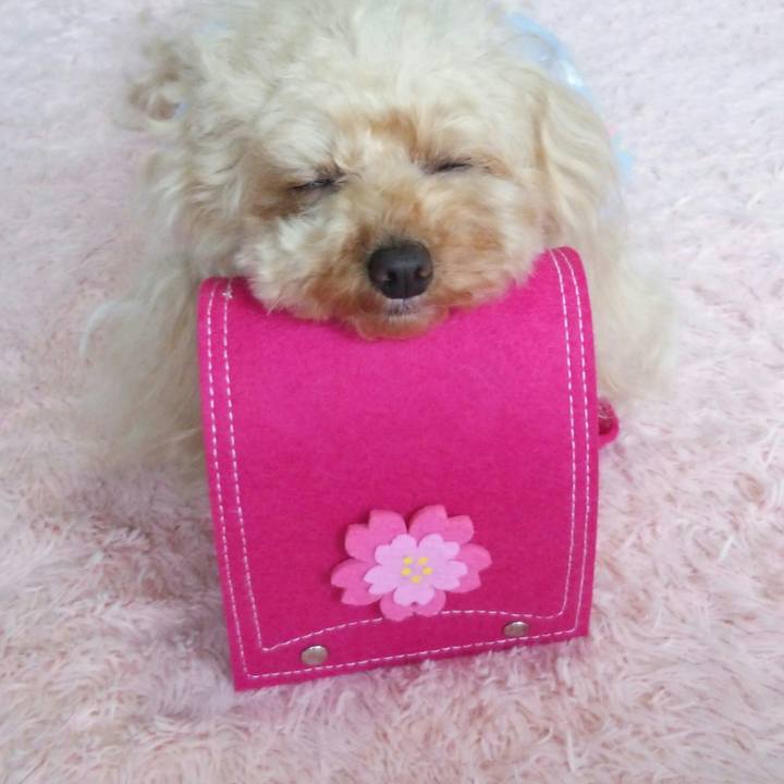 28a5320b 0af7 4a43 8a69 58d7da2537dd 1555562304657