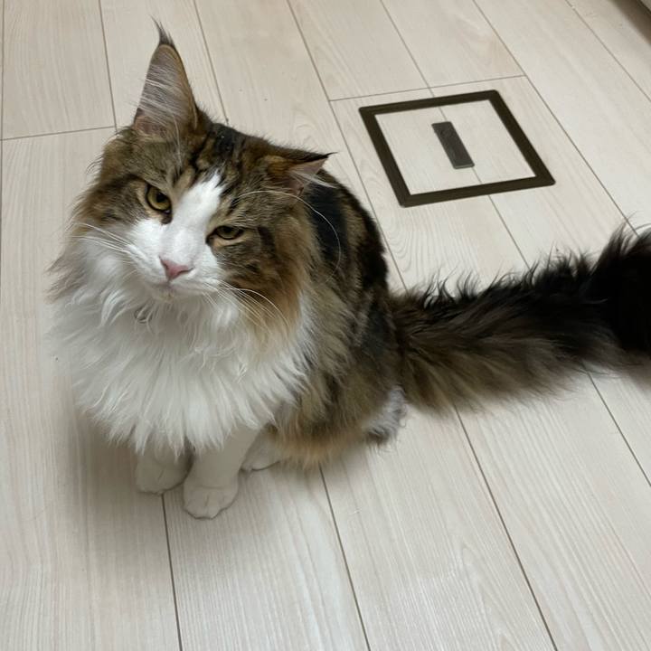 28a534c8 160c 4a67 ade1 241ccc478e5f 1645128555059