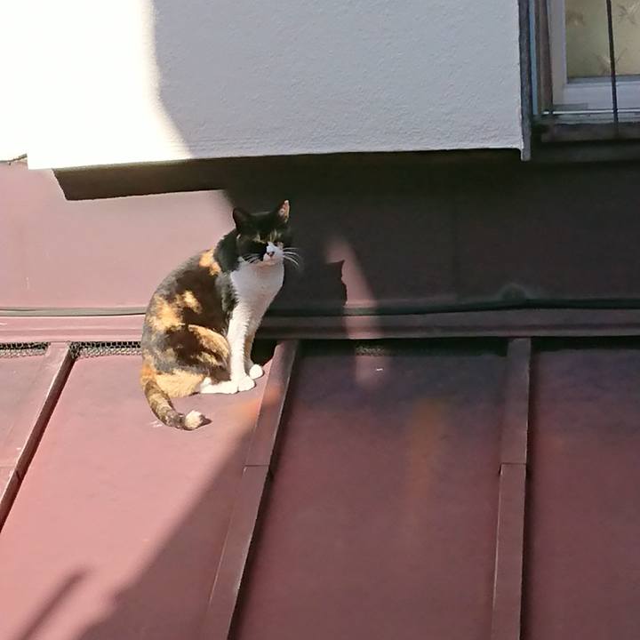 28a5732b bb84 4bb1 bcb3 1ca9e8b78334 1547440257607