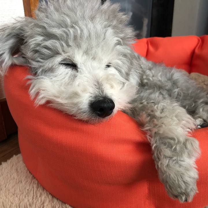 28a59a37 a893 4e03 af98 47cd605916a2 1552114354290