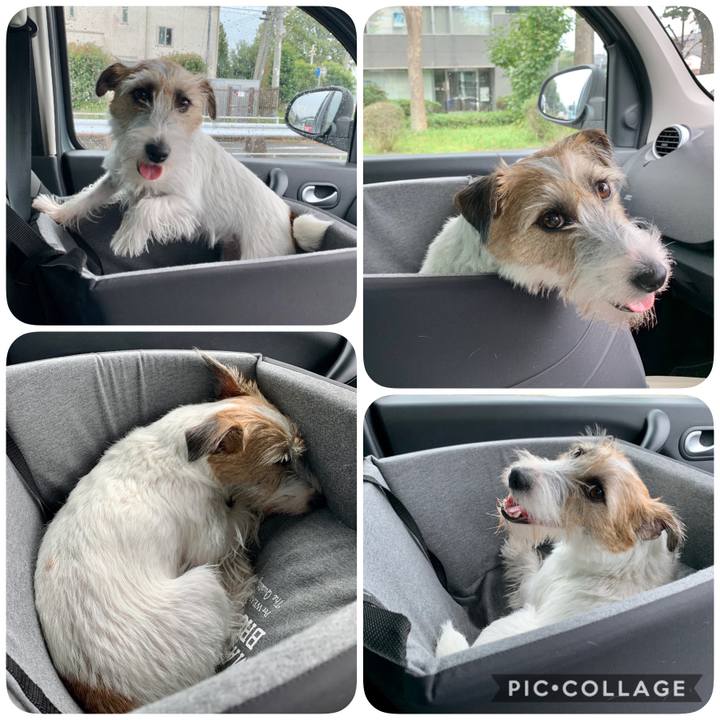 28a5f60e cbf7 468a 8db2 c2fc42fe18b4 1601872058238