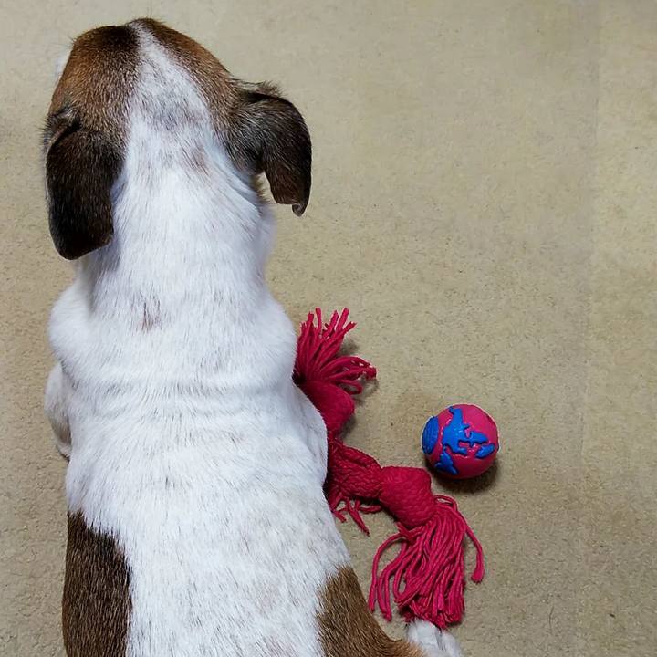 28a5fda5 ad27 4ede a9b9 ca6e289b3b44 1546689808692