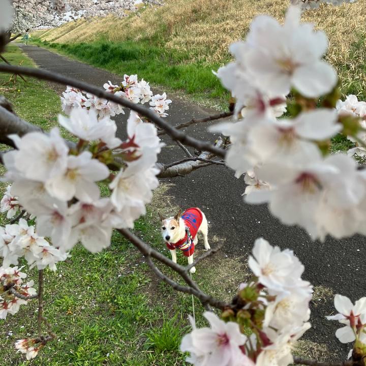 28a6361f 31e6 4974 aa65 d3d60fd420a9 1744240074646