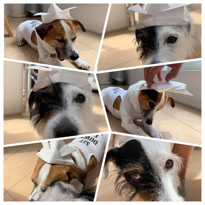 28a662a0 0a91 41fe a530 62d41b06a9f6 1651705832266