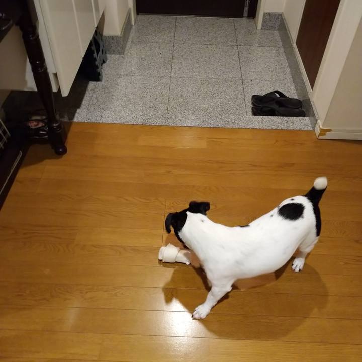 28a684e0 af5b 499b 8d03 5671f39ab780 1598143066484