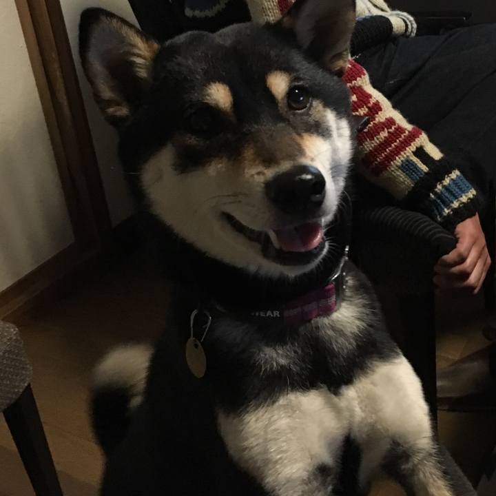 28a68e11 ca9d 4469 8b07 c11306d2da55 1514698215878