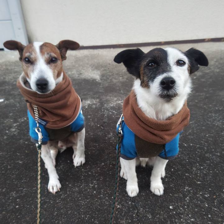 28a692d1 e511 4d4e adcd fcfa2c712745 1768255927456