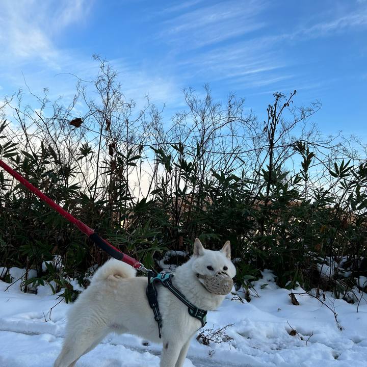 28a6a8b7 b734 45fc b8eb 71a4deb35563 1701129064013