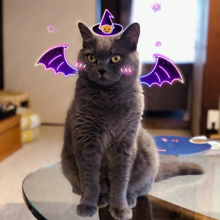 28a6d900 afb4 45ea 835a 8c2091c744e2 1563669273345