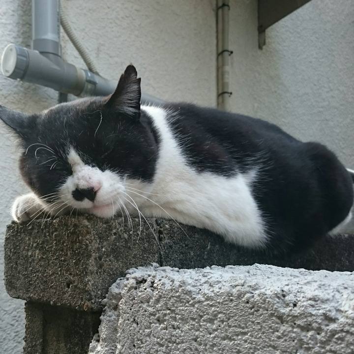 28a6e3f2 9177 4f49 b4e6 a8b31e688f08 1524382619809