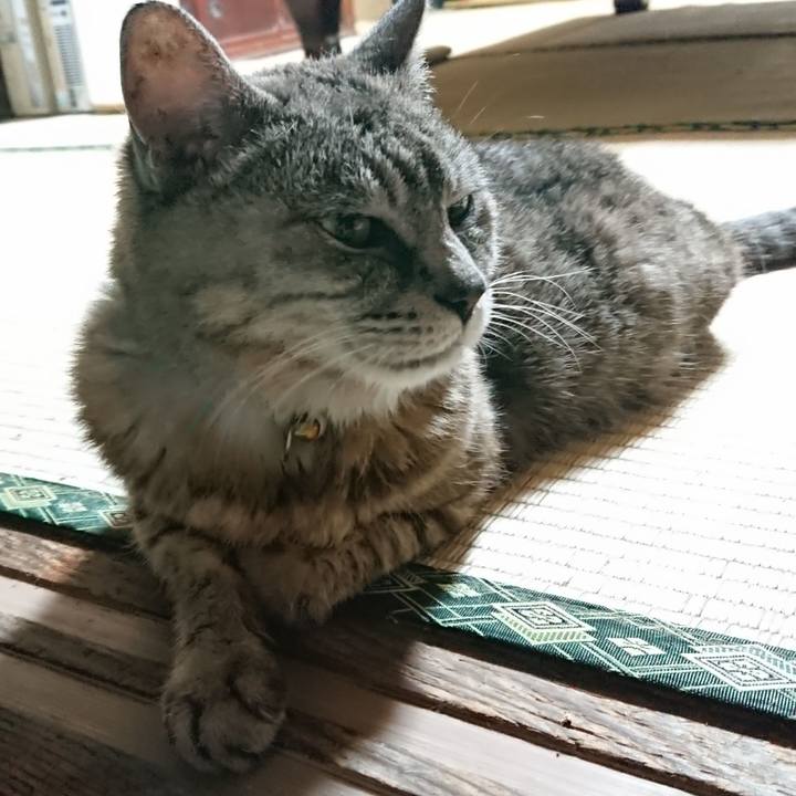 28a6e757 33f6 41b2 8905 ce0bbe92f66b 1567766800358