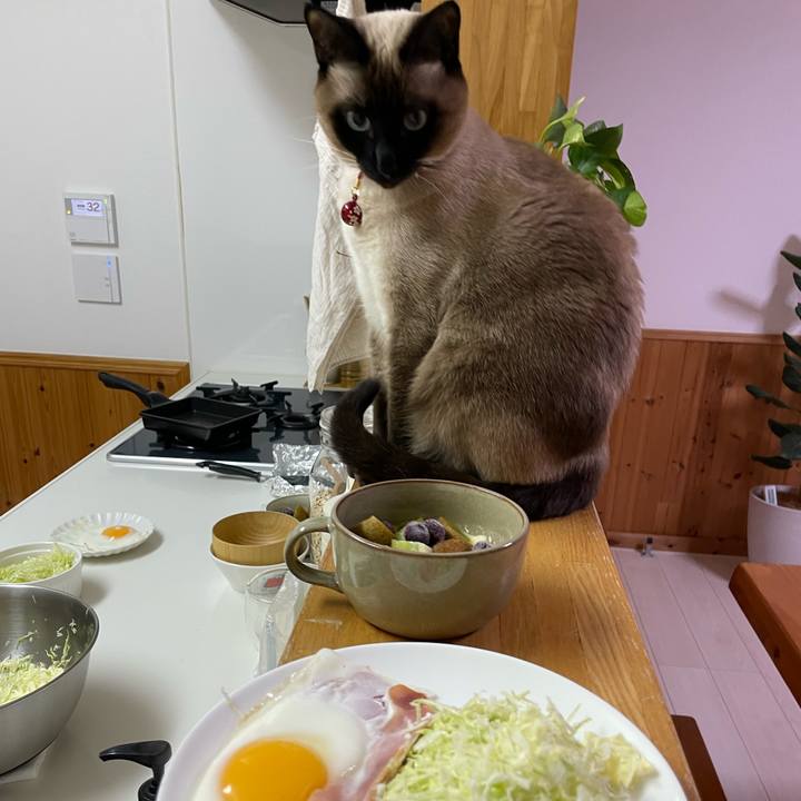 28a6e8b0 7548 4603 bd59 f23d1f97449c 1736195415096