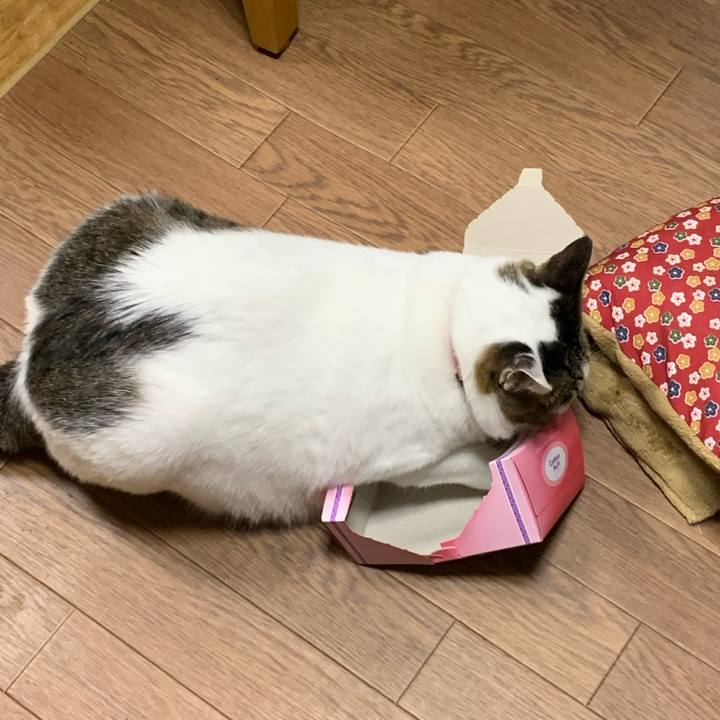 28a72f2f 07dc 4d9b 8fce a0631838e060 1629994741950