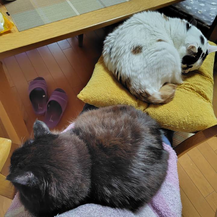 28a774be af52 45c3 9f97 042b91ae8205 1772108693057