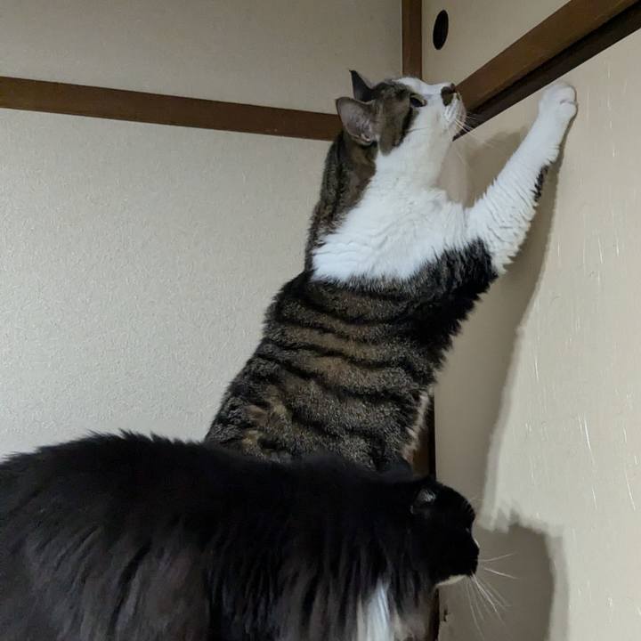 28a782b5 1b66 4910 96e7 2dad619e30fe 1723555628893