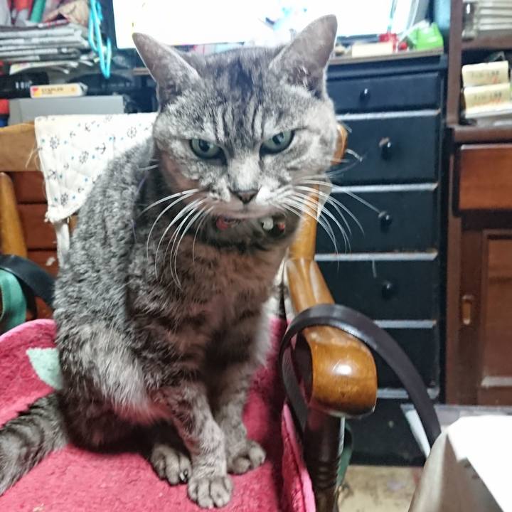 28a79d74 9a0b 47e7 a845 c4882ca710f5 1581670311347