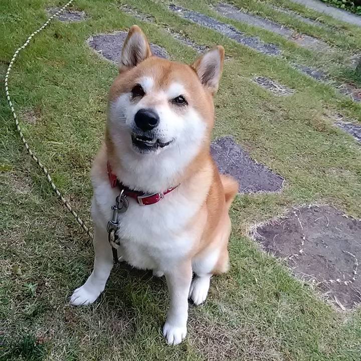 28a7b308 0d4d 4ef4 b9dc 81608a9abba1 1669333391710