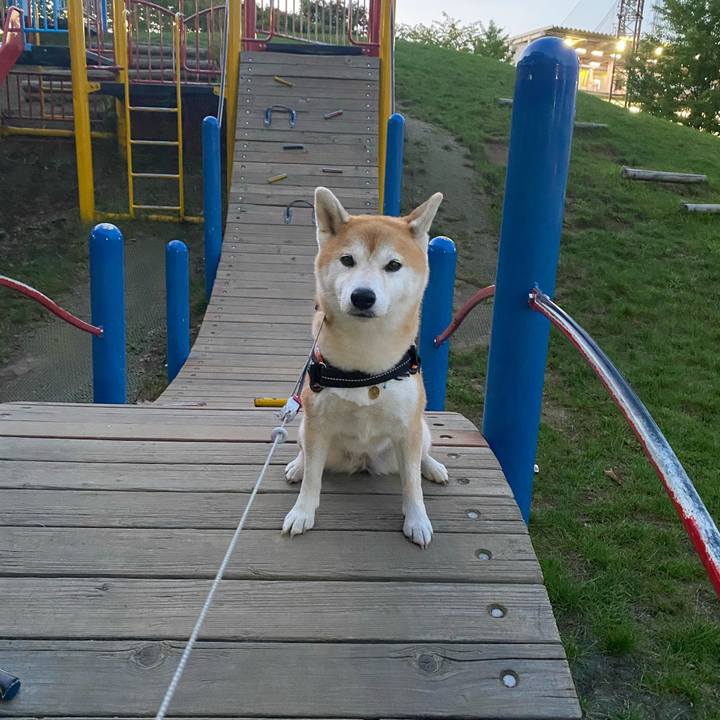 28a7bd39 c62a 4248 b799 b1c5480ee7c0 1600945352496