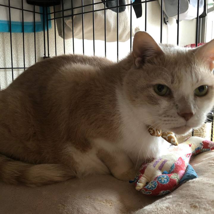 28a7c1cd 38e7 470d aad8 e462964f8b65 1604272837903