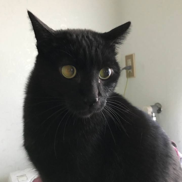 28a7c6f5 1245 4e67 a3ce 74c5e42c8d86 1511571761540