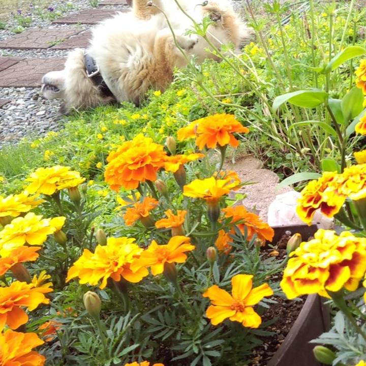 28a809f2 6fcc 48d2 b2cc 7a3bcd69f7bb 1601704970313