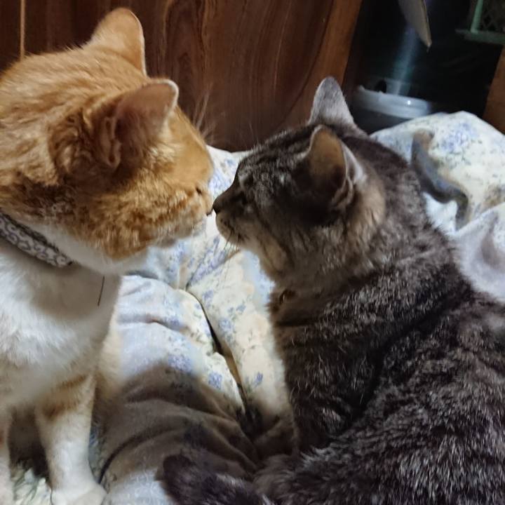 28a81eee 6da9 4300 a2e7 087e65e406b7 1587644599501