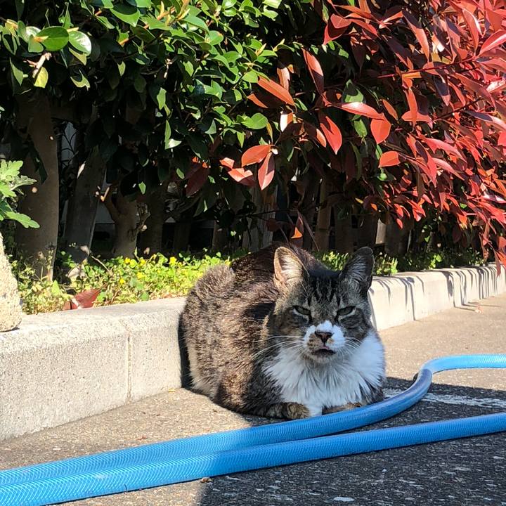 28a823f4 24be 4293 8b85 0a5c7e947bc5 1589718617734