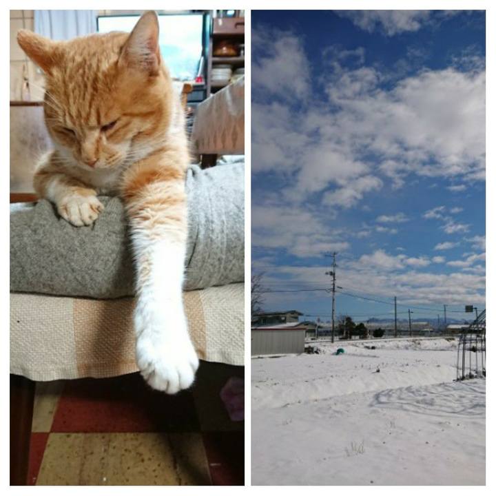 28a83382 6b5f 4d75 b7d5 6fd9f29ca5fd 1577846514740