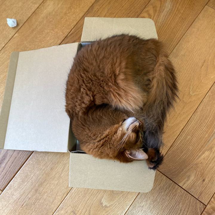 28a88330 942e 4a89 a1e4 c5d1fe6c2121 1693467632095