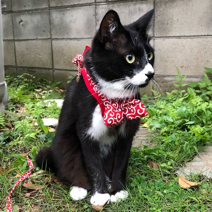 28a8aabd a1df 4738 aba3 705a555e87da 1563690363945