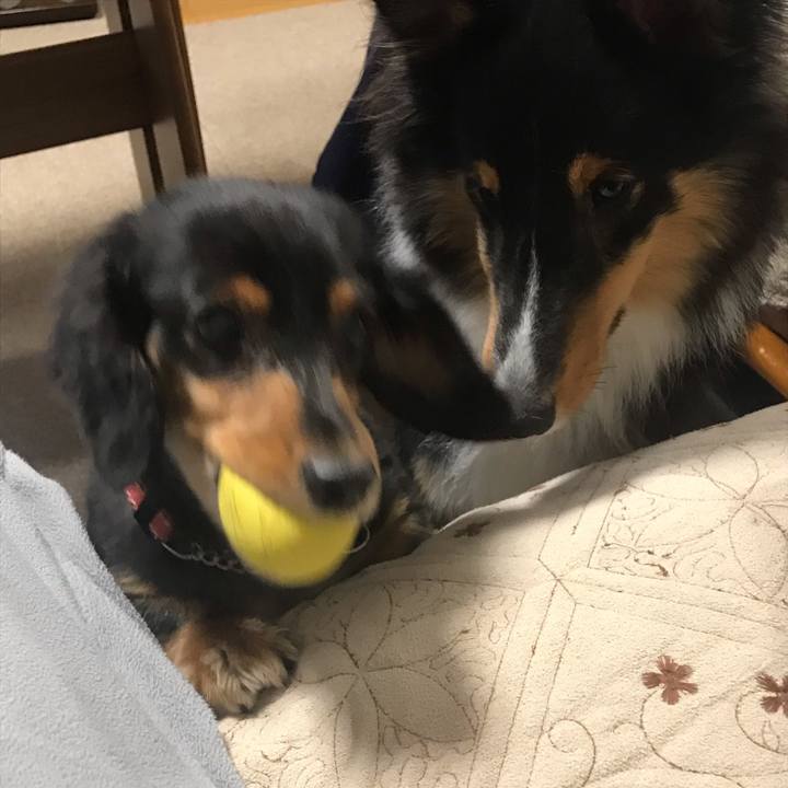 28a8c70e 11a4 4ffb b327 75259cba9093 1542404928498