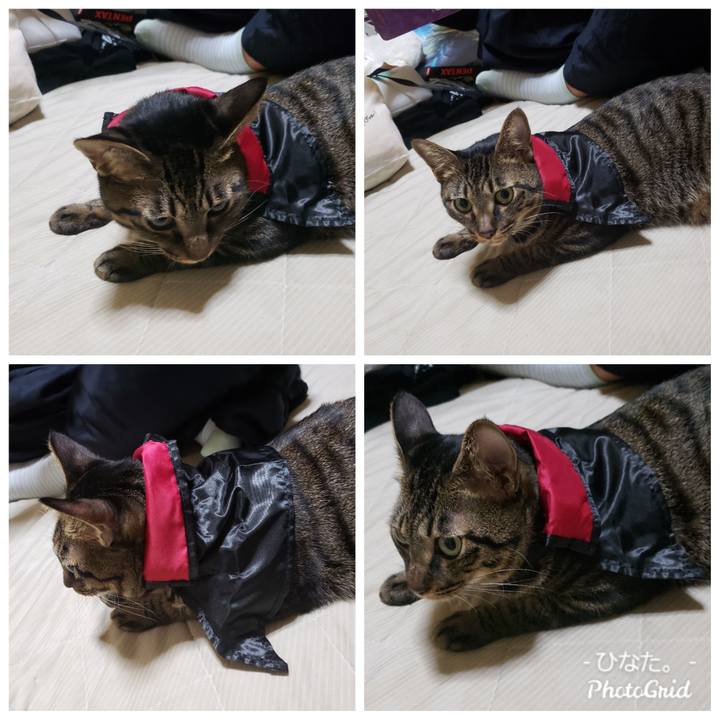 28a8e64a 648a 464a 9103 62496b1ae21e 1570869660692