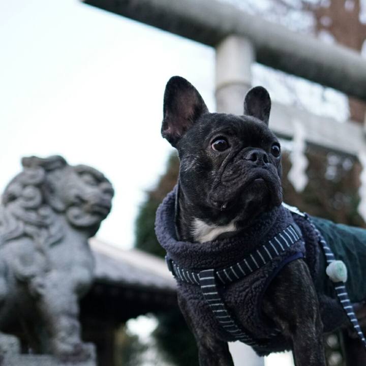 28a90ab2 ffbf 4ead b82d dcb048b7d146 1514273874847