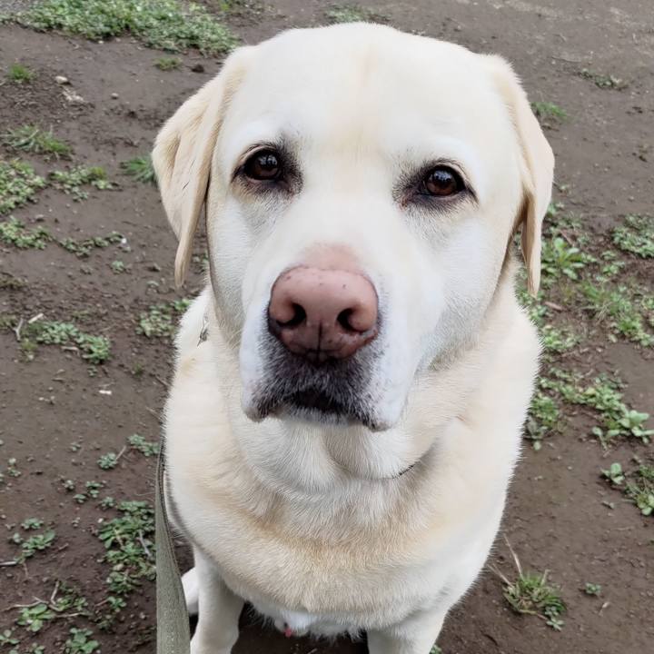 28a912c4 2a85 4611 a904 857ba3b4b005 1712216344941