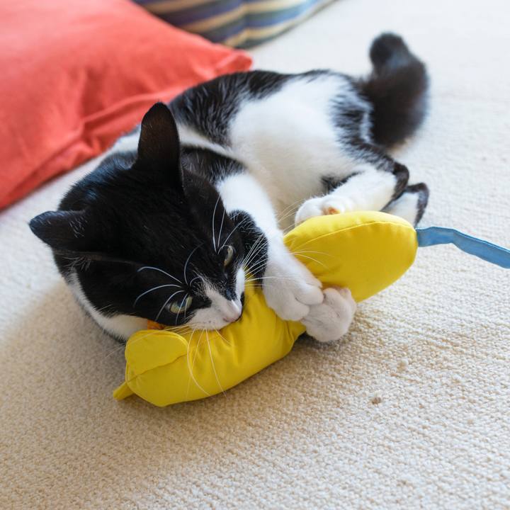 28a93e2d b0b6 41d1 b921 ec915b2afdfd 1552535452790