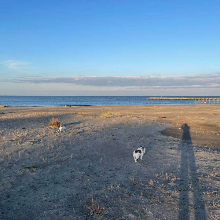 28a94dfa e042 4d02 b707 694e2dfb6bb6 1763337146712