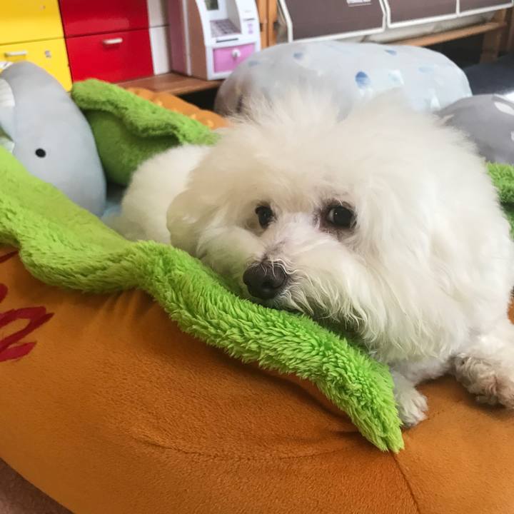 28a963c9 a2ef 428a b140 bbe3b45b88c3 1598400652893