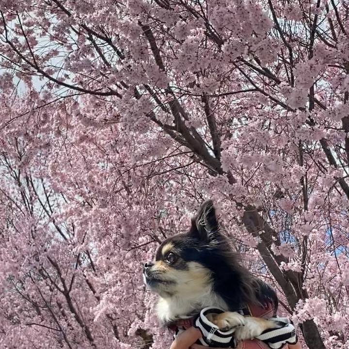 28a97fc6 7141 47c0 b3c1 50829e1482c2 1648354583105