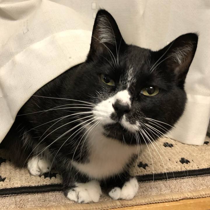 28a9b3d0 75ad 4971 9d58 5c038b4429d4 1606967382875