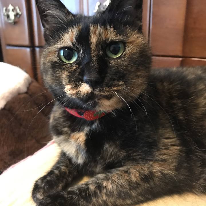 28a9b6ad 986b 48e0 ae41 a89d4cc28707 1517098154334