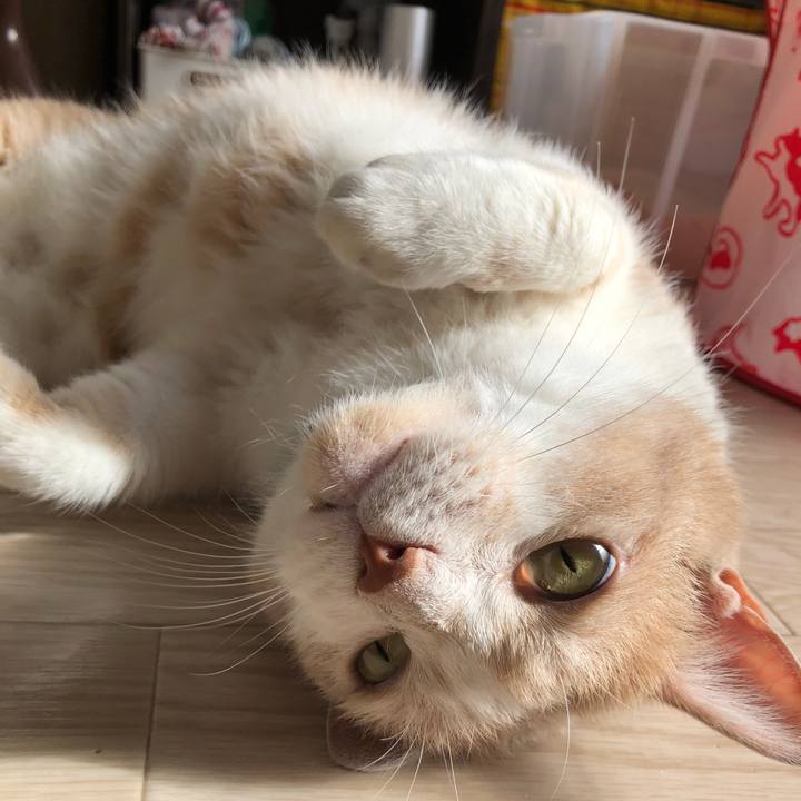 28a9ed7d 9793 4c7f a53d 144251d6e1b3 1535866166919