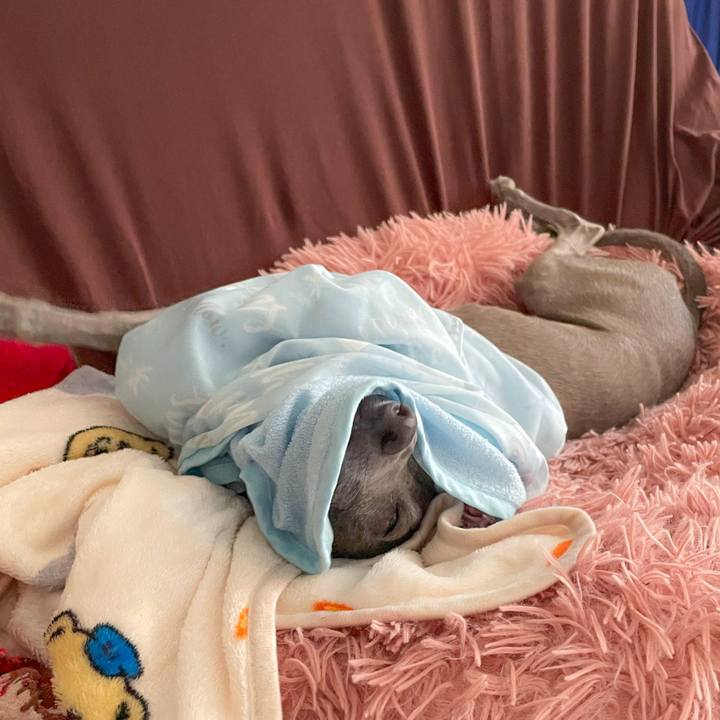 28aa24ab 2edb 477f 9c81 a2fd4058e653 1758622443406