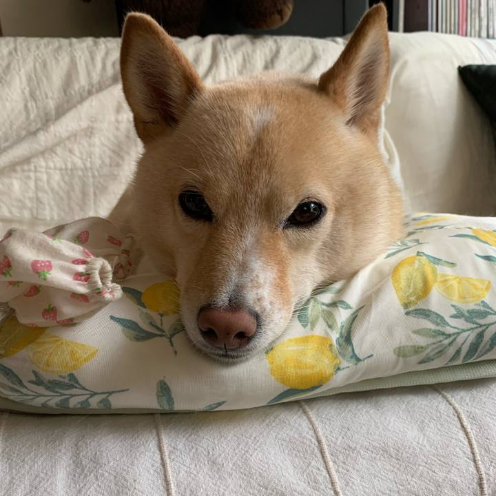 28aa39cd 3c94 4e15 a870 67dff2ae9c89 1632792688159