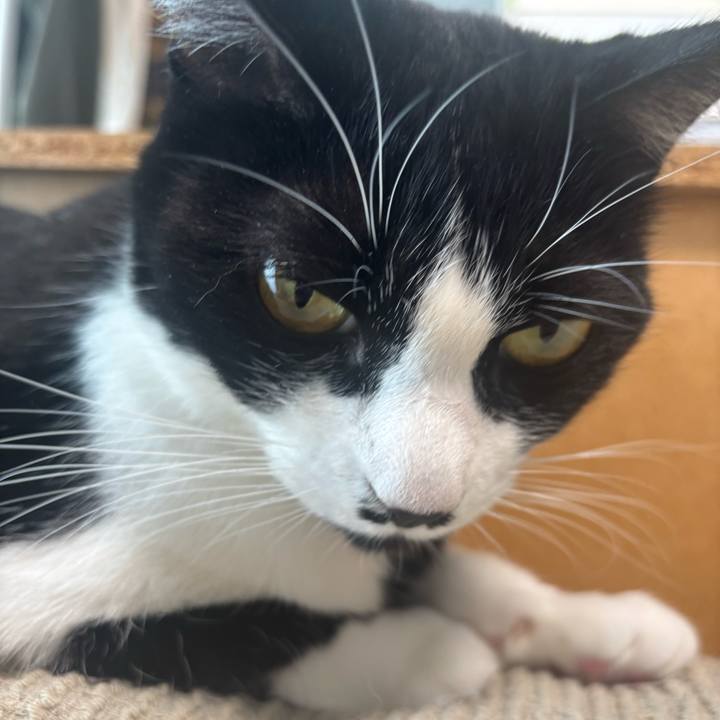 28aa7360 d419 4369 a38a fa2700cab4df 1766370309489