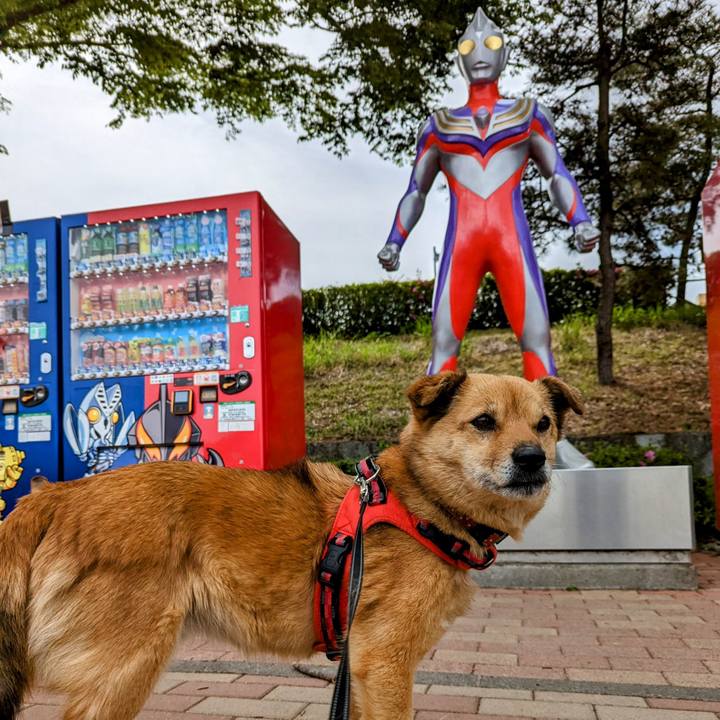 28aa7c05 db4c 4e42 8966 c8c6cc3519e2 1683461890217