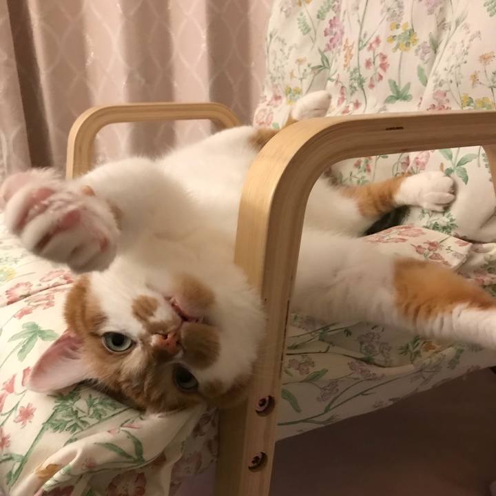 28aae1d4 8cfe 4296 be24 1925ce659173 1524441259438