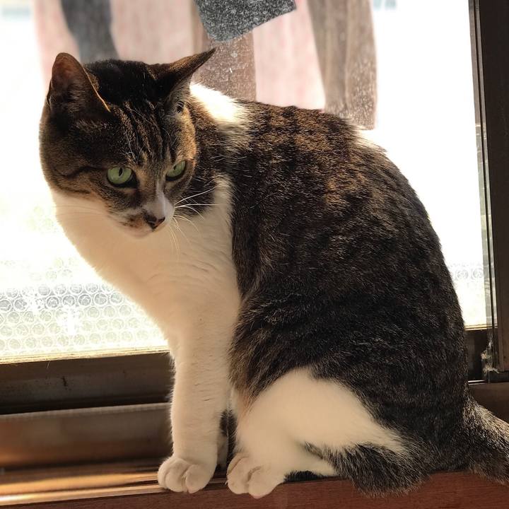 28aaf128 ec32 4a94 8c8d 33b61e86182a 1527903082701