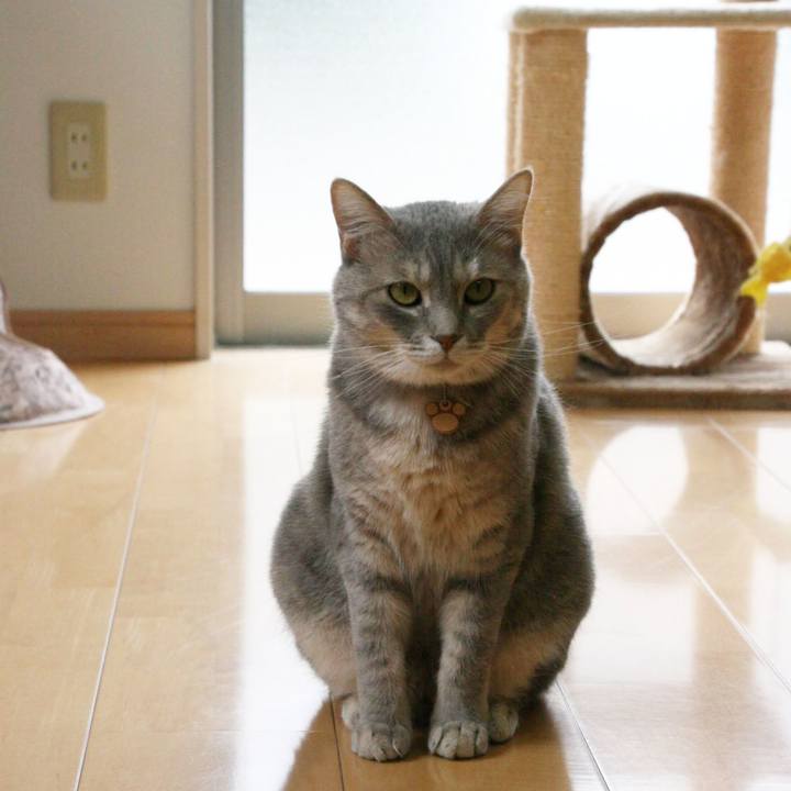 28ab1919 1a7c 4592 8a50 4516dd917da1 1562918911010