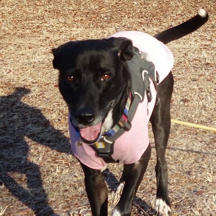 28ab7e88 18d8 4ac0 b7c6 16f8f38bfd89 1644972712201